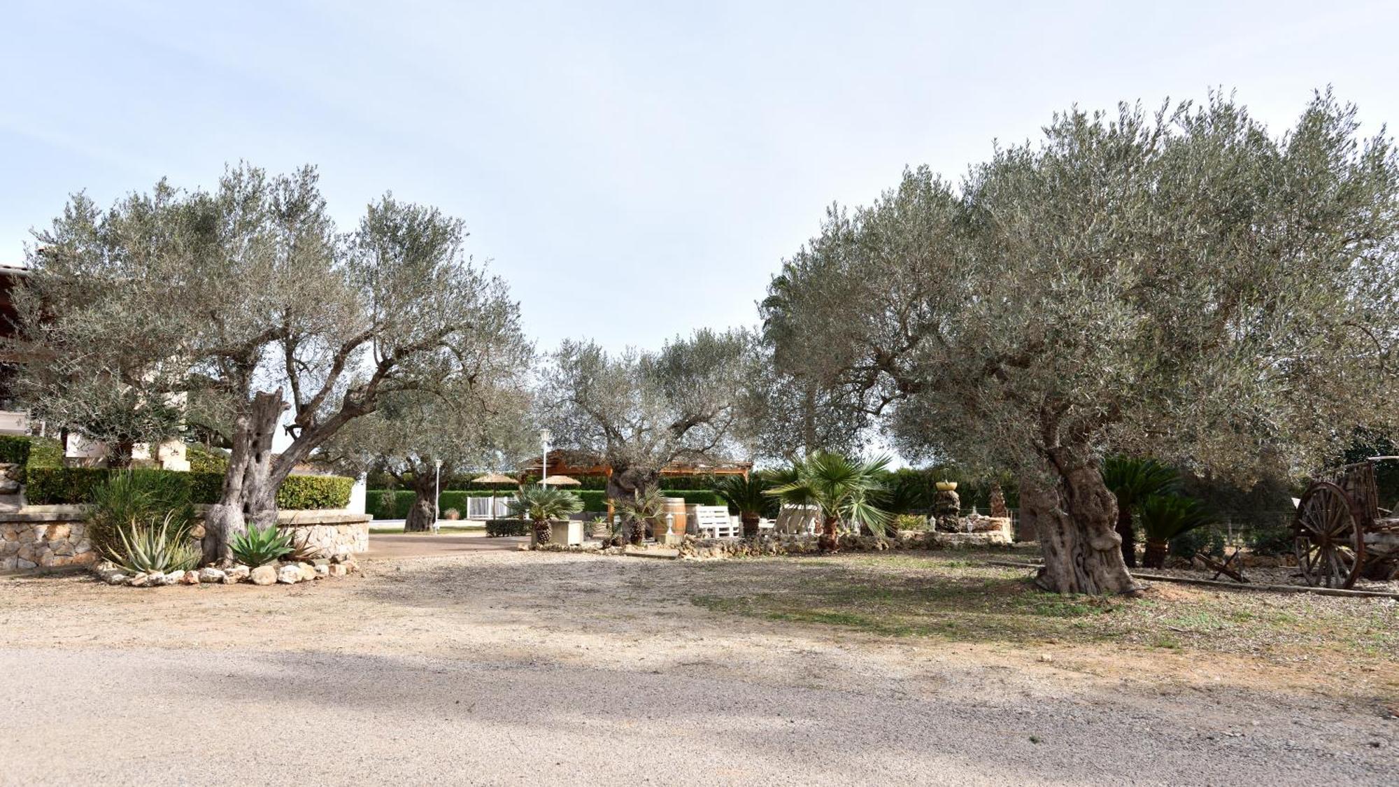 Sa Finca de Jaume Sineu  Exterior foto