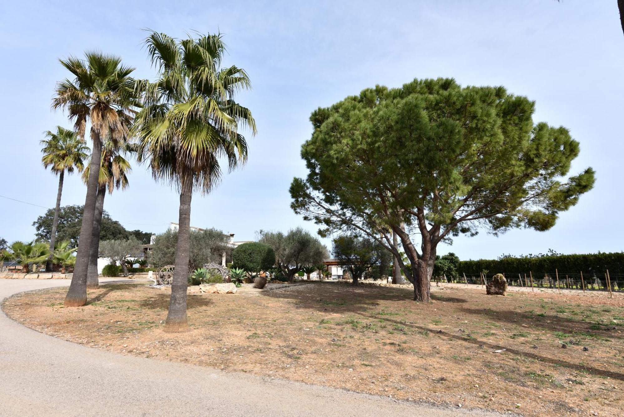 Sa Finca de Jaume Sineu  Exterior foto