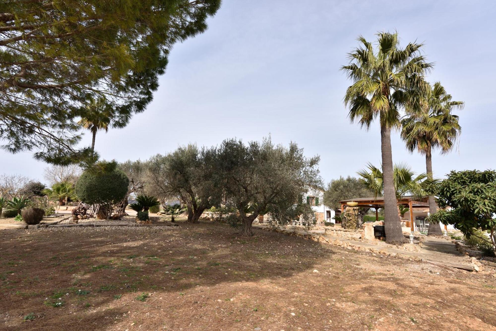 Sa Finca de Jaume Sineu  Exterior foto