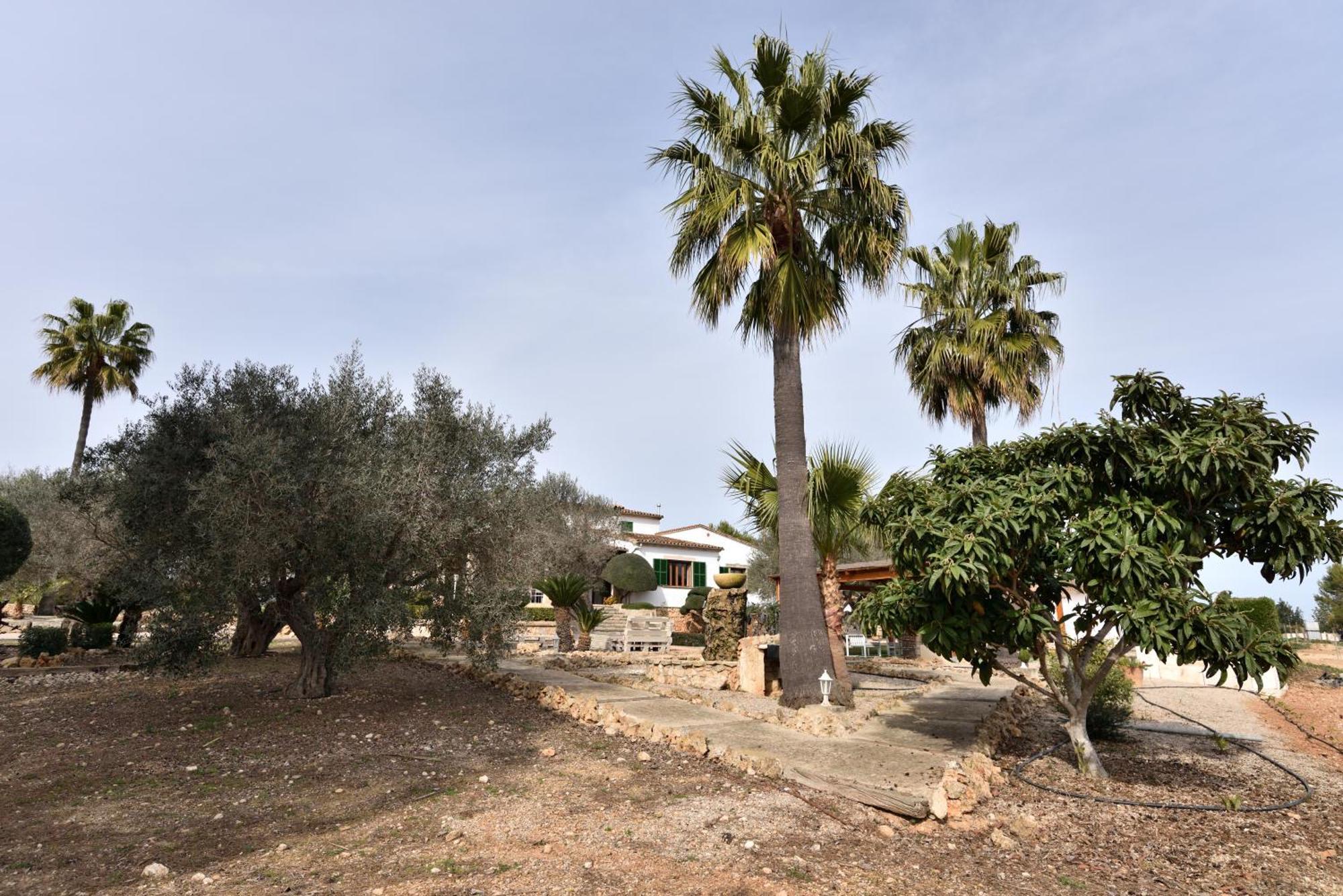 Sa Finca de Jaume Sineu  Exterior foto
